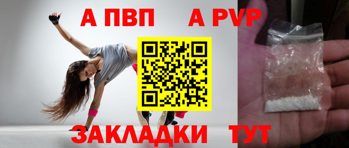 Альфа ПВП СК Каменка
