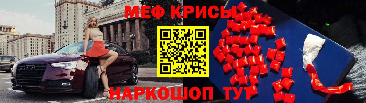 МЕФ  Каменка