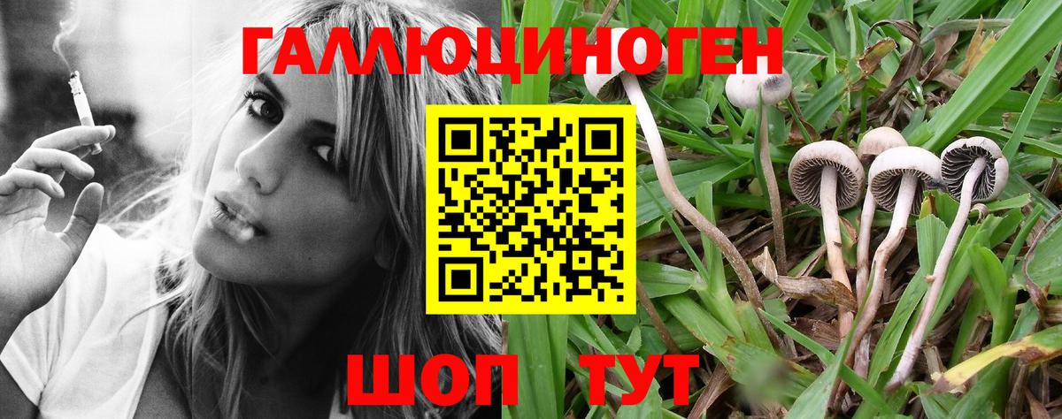 Псилоцибиновые грибы Psilocybe  Вход с VPN  что такое   Галлюциногенные грибы ЛСД  Каменка 